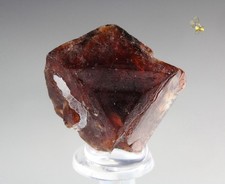 QUEBUL FINE MINERALS - RHODOCHROSITE twinned - Mont Saint-Hilaire, Canada picture