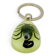 Handmade Real Black Scorpion in Glow in the Dark Resin Keychain-Taxidermy Gift picture