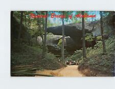 Postcard Natural Bridge of Alabama Winston County Alabama USA picture