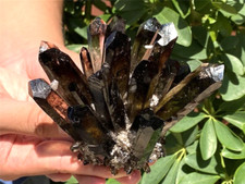 A+++ 300g+ Smokey Quartz Cluster Quartz Crystal Cluster Healing mineral gift 1pc picture