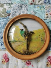 Vintage Miniature Faux Woodpecker Bird Diorama 3D Feather Art Bubble Glass picture