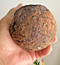 8 Pound Cannonball Off The Atocha Galleon given to me By Famous Mell Fisher picture