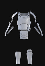 Samurai Stormtrooper Armor picture