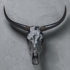 Real bull skull. Wall decor. Cow skull. picture