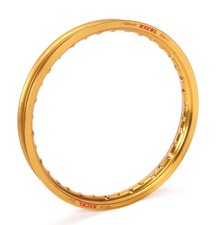 Excel GEG411 Gold 19