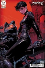 CATWOMAN #78 CVR C DAN PANOSIAN CARD STOCK VAR picture