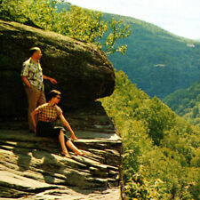 Vintage 1950s Catskill Mountain Vacationlands Kaaterskill Falls Postcard NY picture