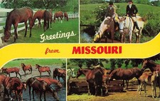 Vintage Missouri Postcard Missouri Unposted picture