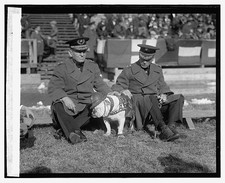 Photo:Quantico Virginia Gen Lejeune Gen Eli Cole 1925 Marine Game Bulldog picture