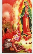 Words From O. L. of Guadalupe to Juan Diego - Laminated Holy Cards 25 CARDS picture