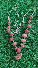 Rudraksha Siddha Mala 1 to 14 Mukhi with GouriShankar silver plated cap chain picture