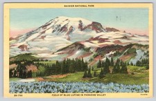 Postcard Mt Rainier National Park Mountain Washington 1949 Posted Linen picture