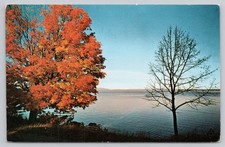 Autumn Foliage Vermont Lake View Postcard Forward's Color Productions S 308 picture