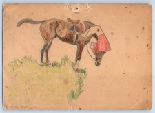 c1910's Horse Hand Drawn Art Animals Unposted Antique Postcard picture