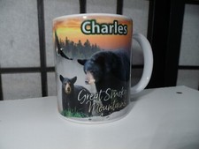 NEW Personalized  Great Smoky Mountains 12oz Coffee Cup Charles picture