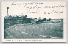 Oswego NY Burt's Point and Wenonah Lodge Postcard picture