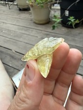 Two Double Terminated Sweet Water Mine Calcite Crystals, Great Quality picture