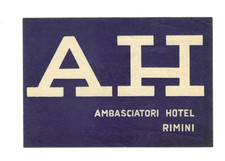 Hotel Luggage Label Ambasciatori Hotel Rimini Italy unused (P153) picture