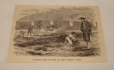1885 magazine engraving ~ BURNING OUTSIDE OF COMMON WOOD, Spain picture