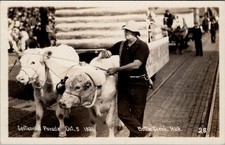 Oct 5, 1931, Centennial Parade, BATTLE CREEK, Michigan Real Photo Postcard #28 picture