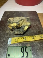 Extremely Rare Tennessee  95g US Cretaceous Amber Rough-Coffee Sand Formation TN picture