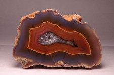 Condor Agate Half Nodule Collector Specimen Argentina picture