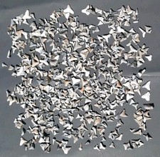 HUNDREDS of BONE VALLEY FLORIDA SHARK TEETH FOSSIL SHARKS FL TOOTH Lot  picture