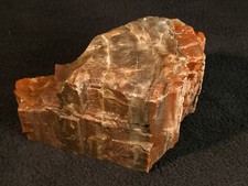 2lb 15oz Piece Of Northeastern Arizona Petrified Wood With Rings picture