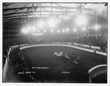 Horse Show c1900 Large Historic Old Photo picture
