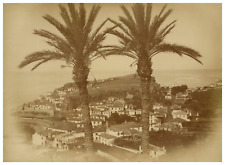 Portugal, Câmara de Lobos (Cama de Lobos) Vintage Albumen Print, Album Print picture