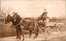 RPPC Man with Horse Drawn Wagon Real Photo Postcard Early 1900s Rural Farm Scene picture