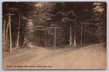 Antique Maine Postcard Road TO Ridge And North BRIDGTON 1915 Rppc picture
