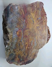 Petrified Wood Rough Nice Color 10 Lb picture
