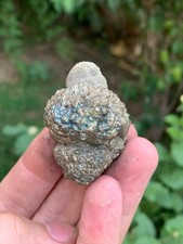 75gram Beautiful Natural Pyrite Golden Rainbow From Baluchistan Pakistan  picture