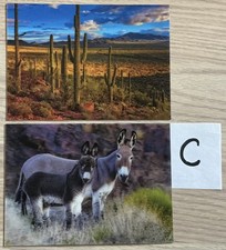 Two 3D/lenticular Post Cards, choose a set. picture