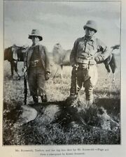 1909 Theodore Roosevelt Africa Big Game Hunting in the Sotik illustrated picture