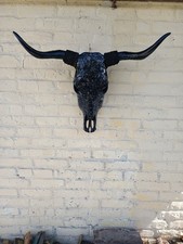 Real bull skull. Wall decor. Cow skull. picture