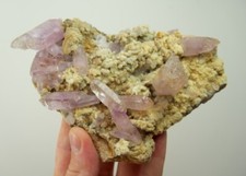 Amethyst Cluster, Las Vigas, Veracruz, Cholla, Mexico picture