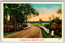 Shelby OH-Ohio, Greetings, Landscape, Road, Antique, Vintage 1941 Post Card picture