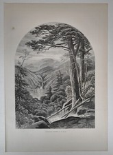 1872 Victorian Art Engraving, Adirondack Scenery - G. H. Smillie, Forest & Lake picture