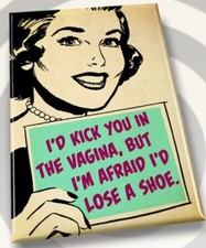 I’d Kick You In the Vagina But I’m Afraid I’d Lose A Shoe.A 2”x3”Fridge Magnet. picture