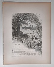 1872 Victorian Printed Engraving, Savannah River & Augusta, GA picture