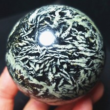 RARE 390g Natural Polished Colorful Wheat ear Agate Crystal Ball Healing A5033 picture