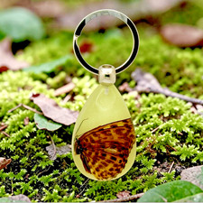 Handmade Real Brown Butterfly in Glow in the Dark Resin picture
