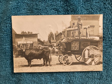 RPPC Grayling Michigan Bulls/Decorated Float/Lumber Ad/Posted 1909 DS Cole Caro picture