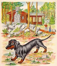 Vintage 1950s Dachshund Print Wall Art A M Jauss Dachshund Illustration 6004c picture