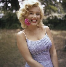 Marilyn Monroe wearing a blue dress a pink carnation in her teeth - Old Photo picture