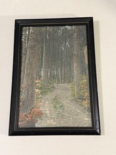 Vintage Bicknell Hand Colored Photograph Autumn Woodland Road Framed 9x13 picture