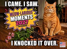 Funny Cat Calendar 2027 Cats Monthly Wall Calender 12 Month 12x18 picture