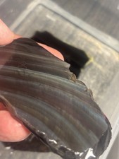 Rainbow Obsidian Slab For Flint Knapping 4 X 2 Nice Thick 1/4 picture